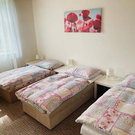 Ubytovani U Lva Žirovnice Extérieur photo
