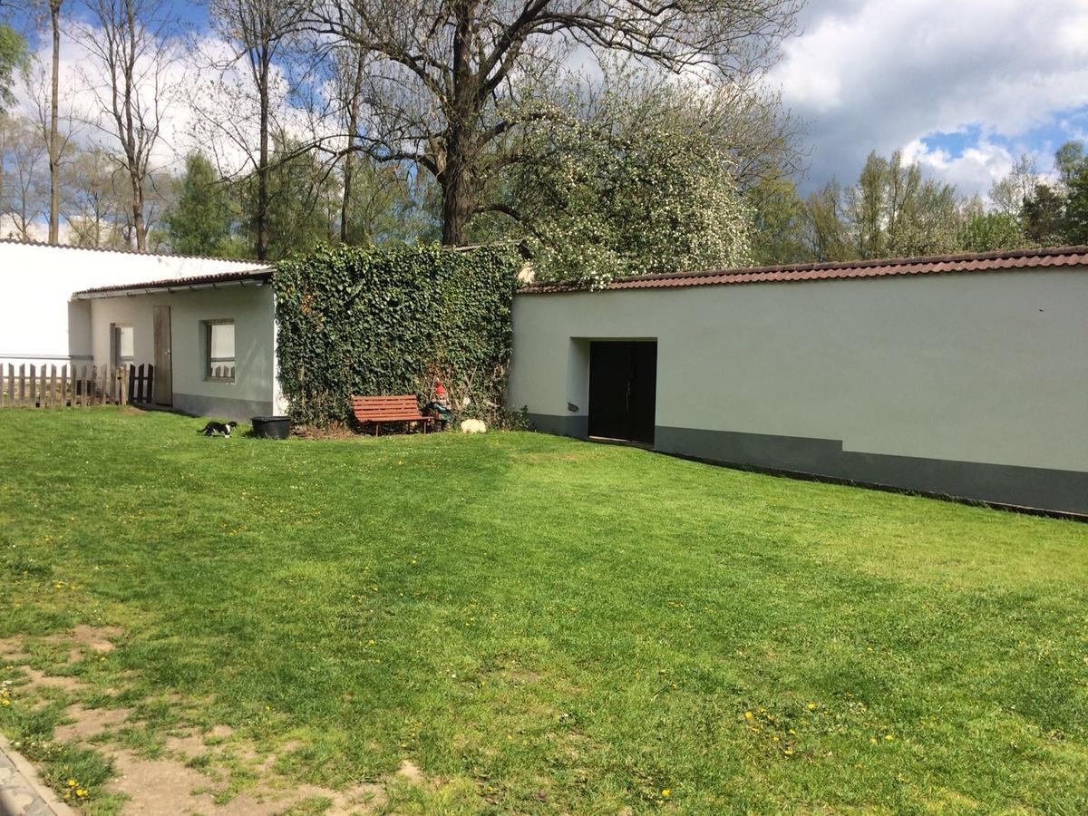 Ubytovani U Lva Žirovnice Extérieur photo