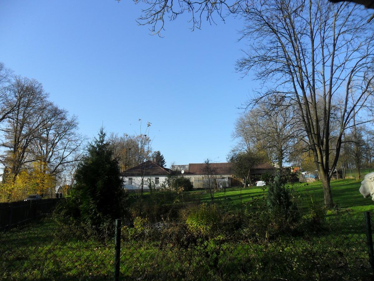 Ubytovani U Lva Žirovnice Extérieur photo